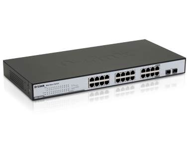 DGS-1224T